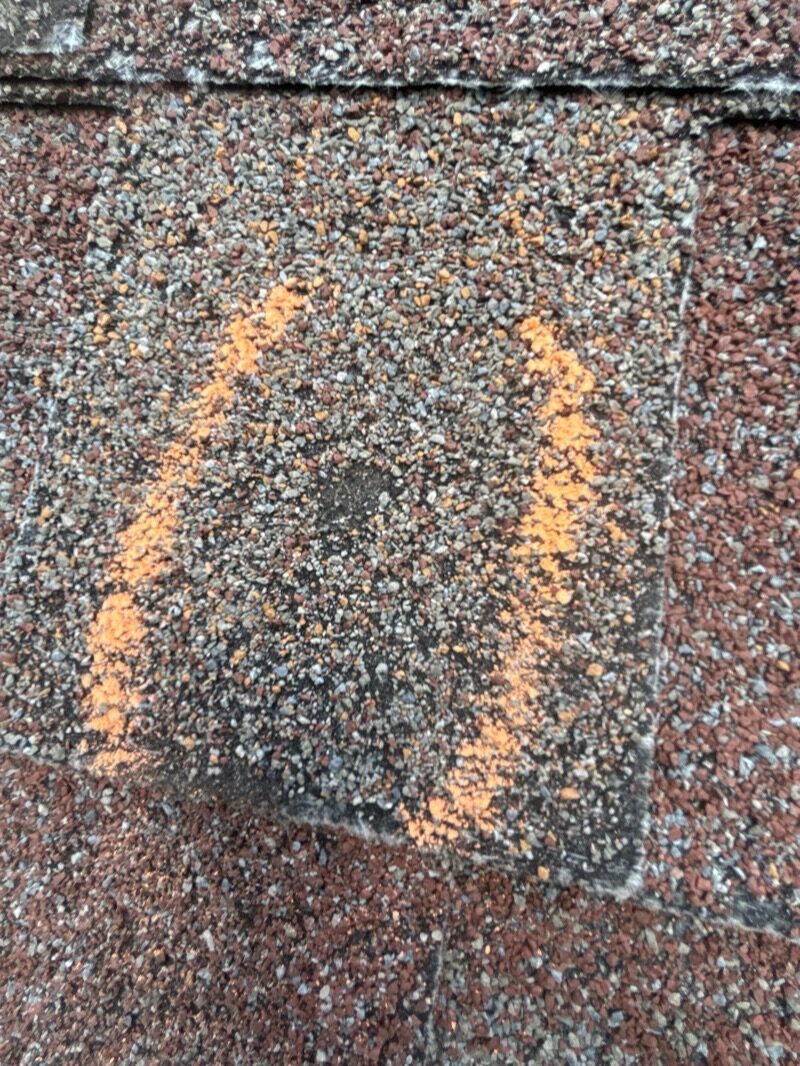 Hail damage circled in chalk on a shingle roof during an inspection