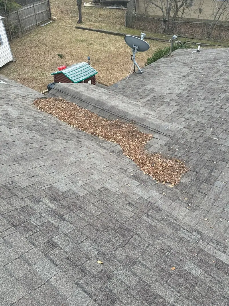 Debris built up on an aging shingle roof, roof repair by Dickerson Contracting in Jackson, MS