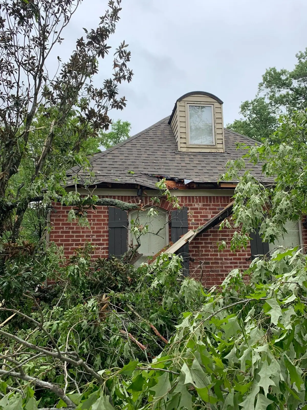 Tree limb resting on a damaged roof eave after a storm