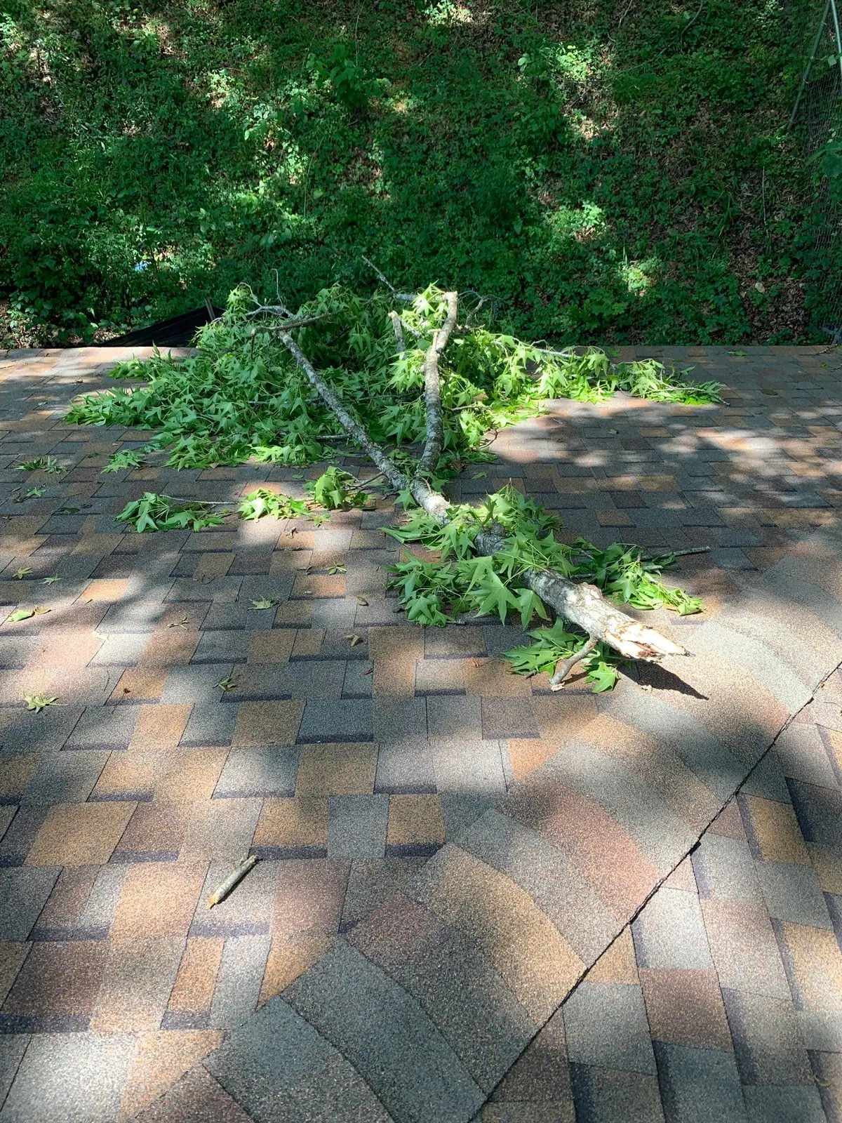 Storm-damaged shingles on a roof slope, roof repair by Dickerson Contracting in Clinton, MS