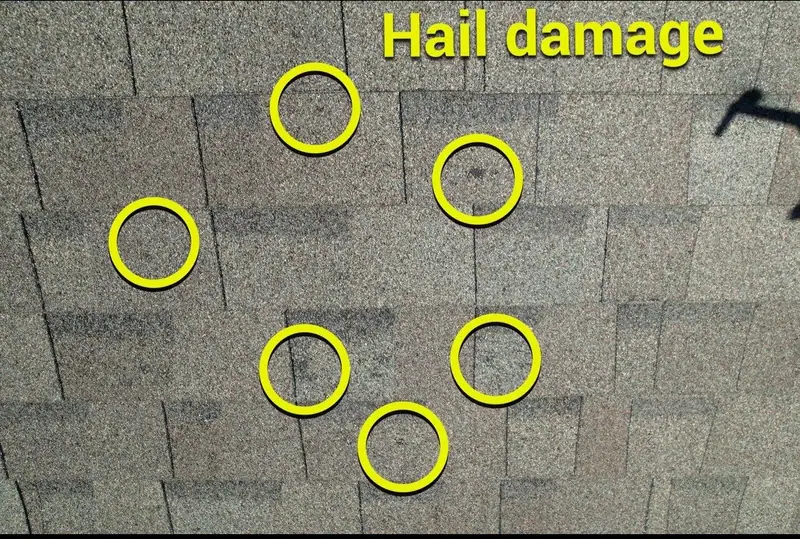 Hail hits circled on a shingle roof during a storm damage roof repair inspection