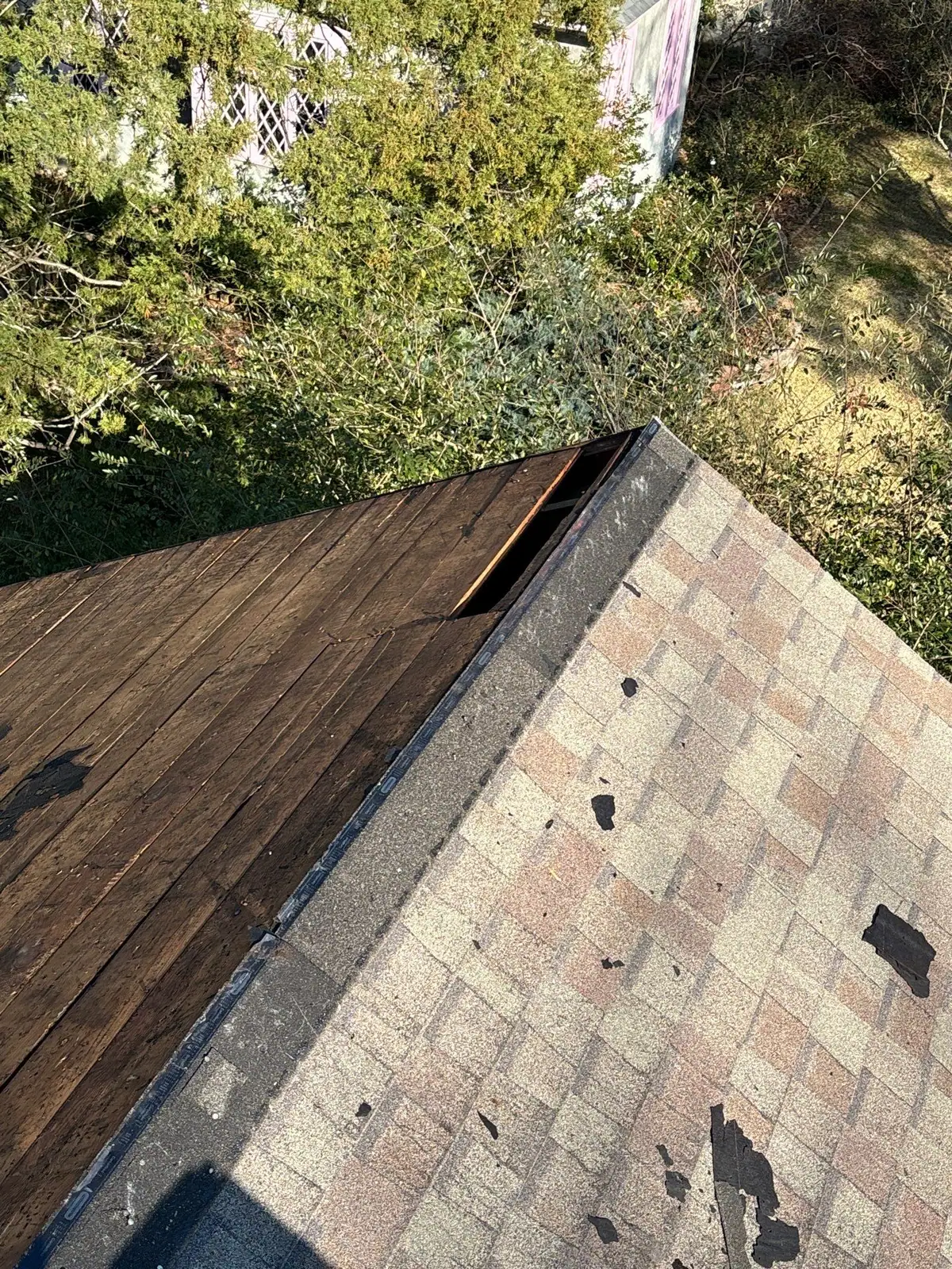 Missing and lifted shingles along a ridge, wind storm damage needing roof repair