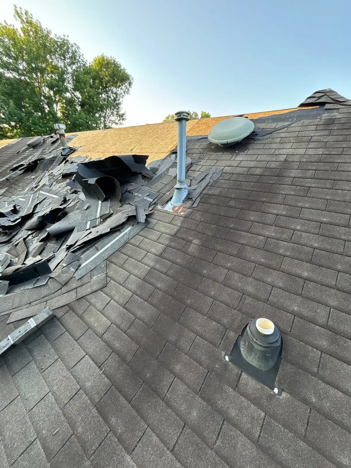 Wind-lifted shingles on a roof slope before repair