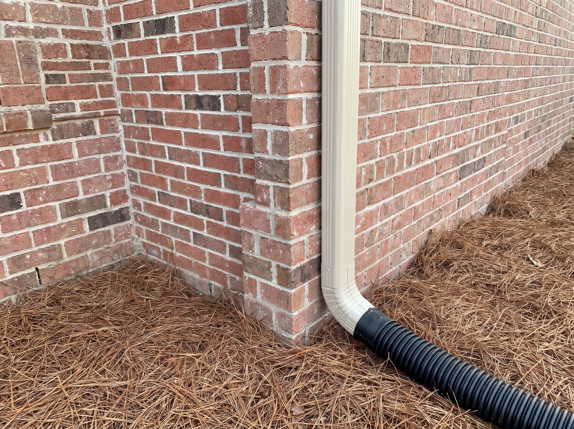 Gutter downspout tied into an underground drain pipe in pine straw beside a brick wall